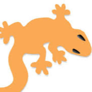 Meet your Posher, Jake